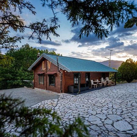 Chalet Likouresi Village Karpenísion エクステリア 写真