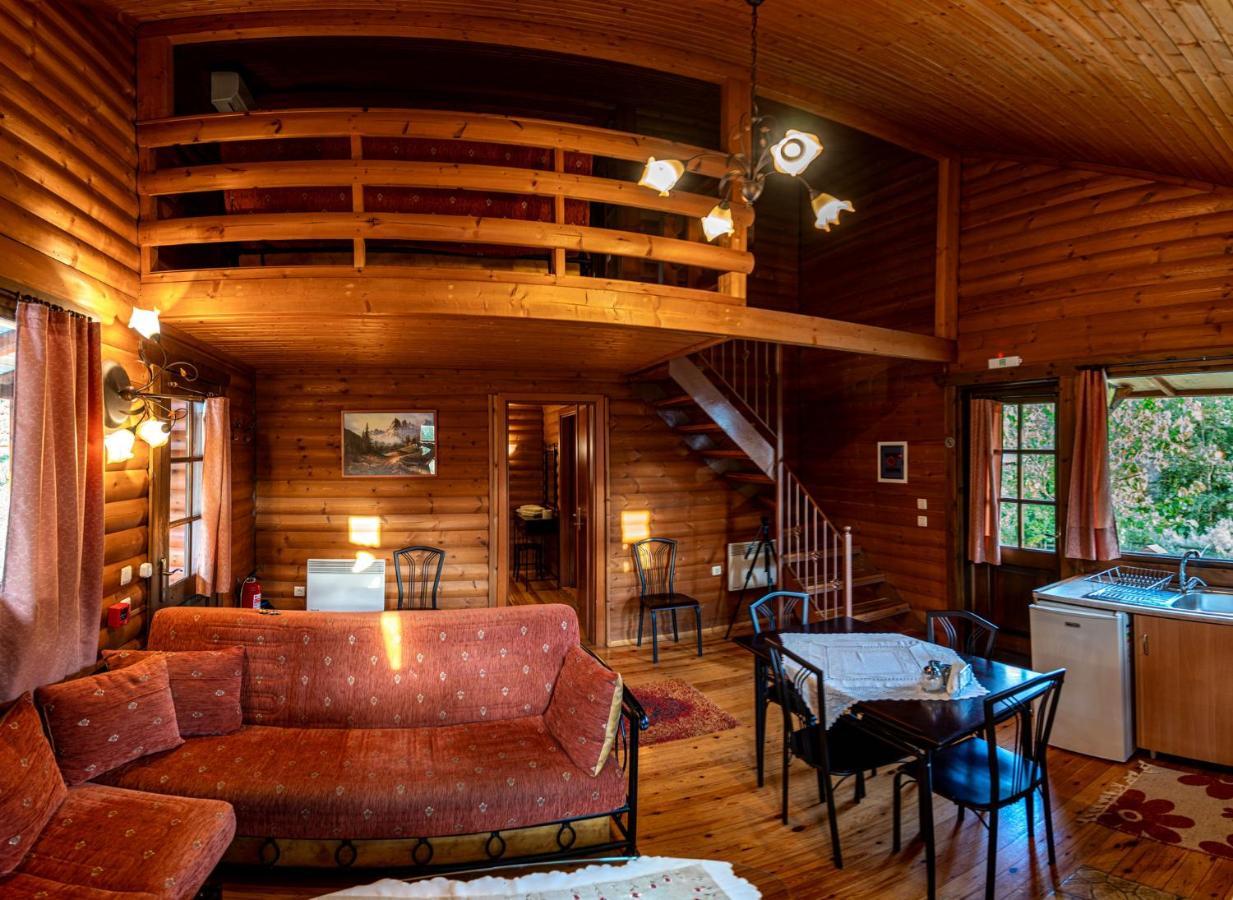 Chalet Likouresi Village Karpenísion エクステリア 写真