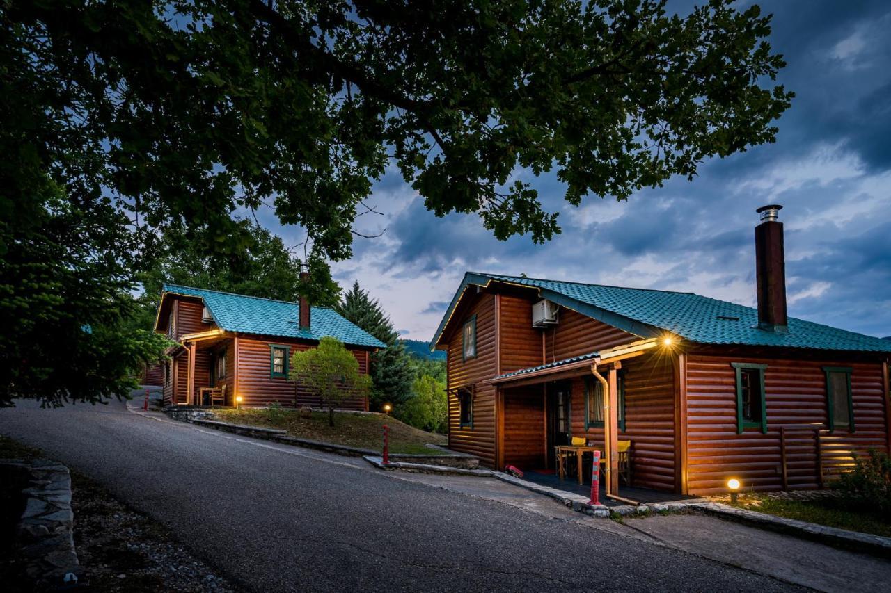 Chalet Likouresi Village Karpenísion エクステリア 写真