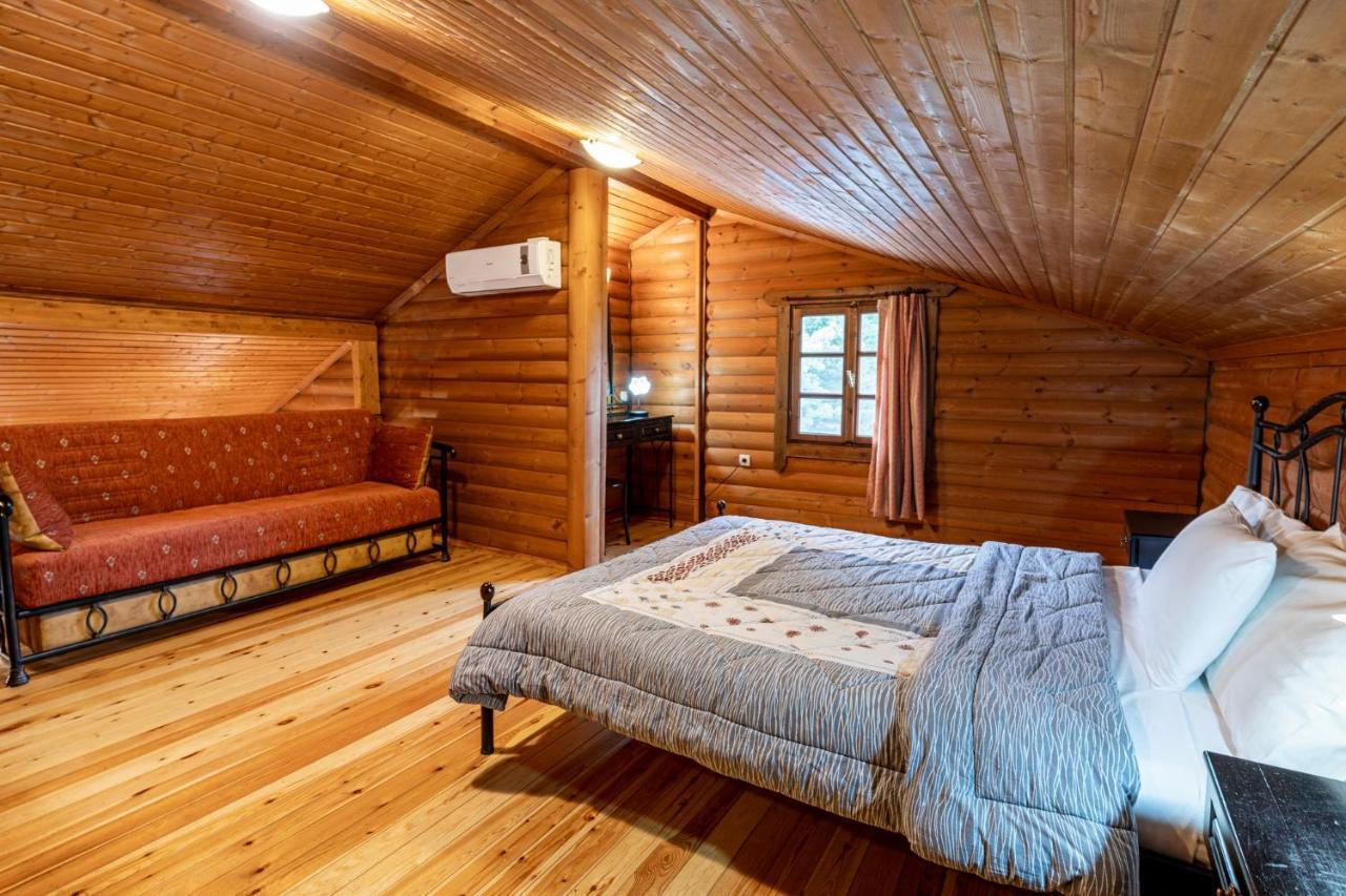 Chalet Likouresi Village Karpenísion エクステリア 写真